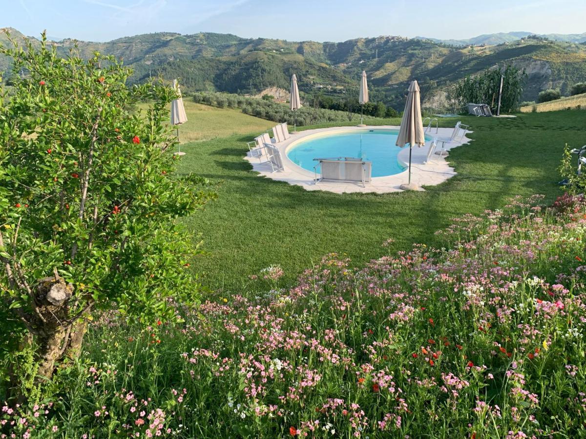 Residenza Case Pacifici Ascoli Piceno Eksteriør bilde